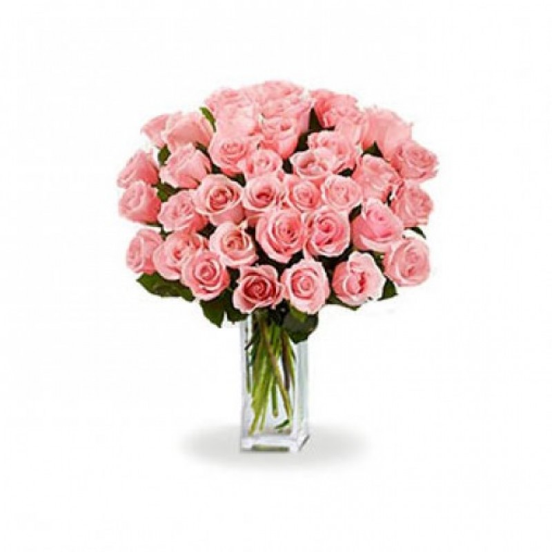 36 Long Stem Pink Roses